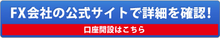 FX会社の公式サイトで詳細を確認